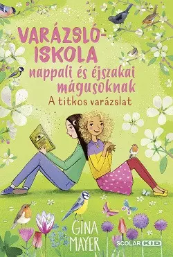 A titkos varázslat - Varázslóiskola nappali és éjszakai mágusoknak 4. Árcsökkenés