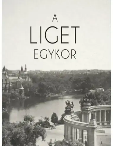 Akciós ár A Liget egykor