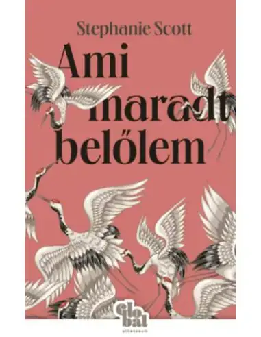 Alacsony ár Ami maradt belőlem