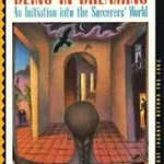 Being-In-Dreaming byDonner, Florinda; Csak ma