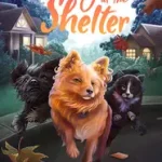 Szuper akció Midnight at the Shelter bySteveson, Nanci Turner;