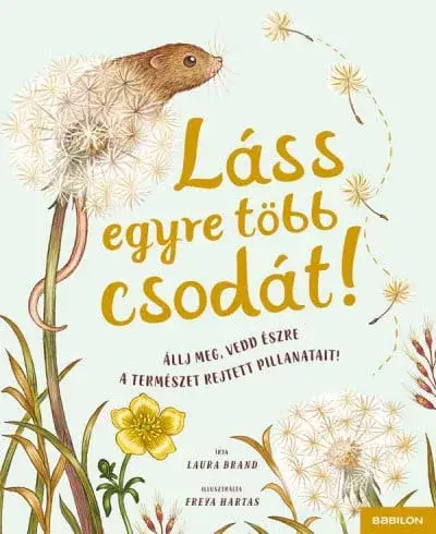 Láss egyre több csodát! Vásárlói kedvenc
