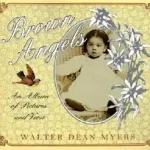 Ne maradj le Brown Angels byMyers, Walter Dean;