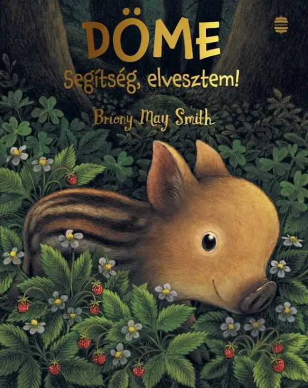 Döme - Segítség, elvesztem! Gyors szállítás