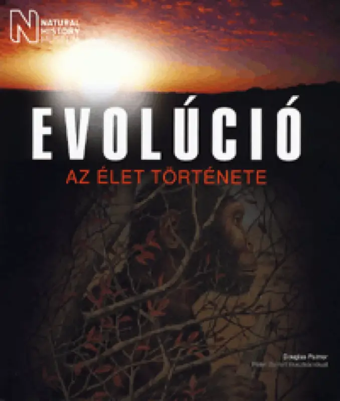 Biztonságos vásárlás Evolúció