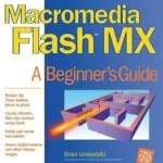 Macromedia Flash MX Expressz szállítás