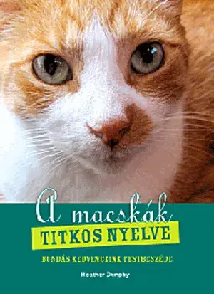A macskák titkos nyelve Árengedmény