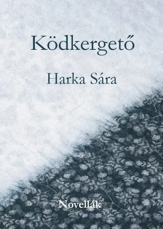 Kedvezményes ár Ködkergető
